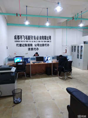 成都市飞毛腿财务咨询 专业服务助力企业稳健发展