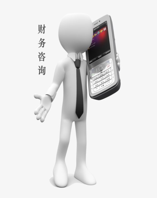 财税无忧 正规财税咨询助力企业合规经营与高效管理